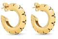 Louis Vuitton LV Crown Earrings Brass